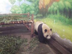 -无锡动物园·太湖欢乐园