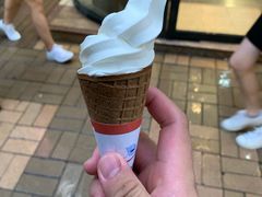 -富豪雪糕车流动点(尖沙咀店)