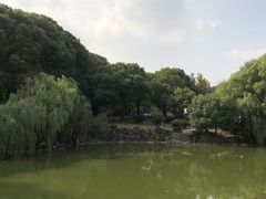 -灵岩山风景区