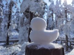 -瓦屋山景区