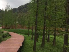 -广州市石门国家森林公园