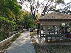 -大雁山风景区