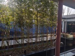-爱儿美儿童摄影(朝阳公园店)