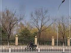 -莲花池公园