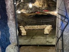 -洞穴餐厅