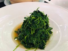 -荷风细雨·中国茶宴(碧云店)