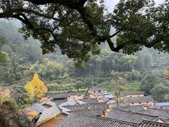 -杨家堂村