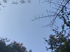 -东莞市大岭山森林公园