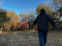 -长春市南湖公园