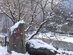 -少华山国家森林公园