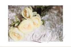 IMG_1951-罗曼司婚纱摄影会馆(瀚威城市中心店)