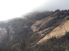 -洋山深水港