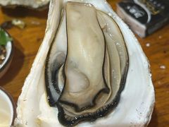 -土蚝·高压锅生蚝(百姓美食街店)