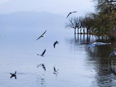 -西昌邛海湿地