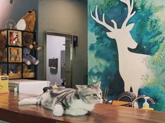 -咖法森林·咖啡  酒吧(天河店)