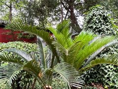 -成都武侯祠博物馆