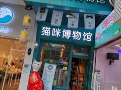 -猫咪博物馆(顶澳仔猫街店)