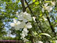 -九里河湿地公园