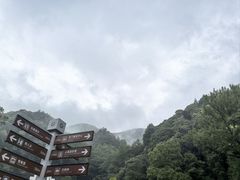 -石台牯牛降景区