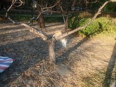 -碑林公园