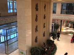 -北京中医药大学第三附属医院