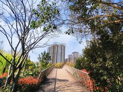 -南翔镇银翔湖公园