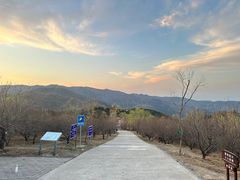 -北京西山国家森林公园