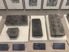 -亳州博物馆