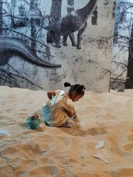 -恐龙探索乐园(磁器口店)