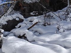 -峡谷浮石林景区