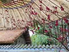 -成都杜甫草堂博物馆