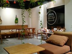 -柴务处·柴犬主题狗咖