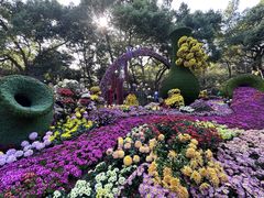 -杭州植物园