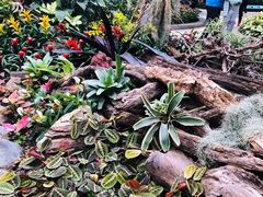 -北京植物园-展览温室