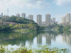 -重庆彩云湖湿地公园