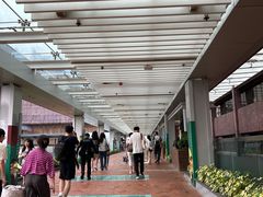 -香港大学