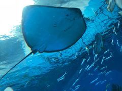 -波塞冬旅游度假区