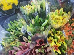 -循礼门鲜花花市(武汉循礼门店)