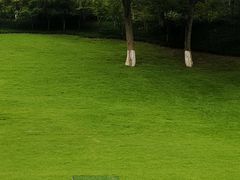 -龙头寺公园