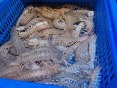 -三个渔夫·蒸汽海鲜(小白楼店)