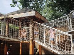 -世纪飞马幼儿园(西城校区)