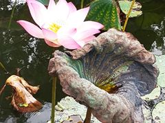-惠州西湖丰渚园
