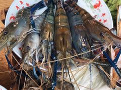 -Thai Basil罗勒叶泰式餐厅(时代天街店)