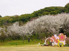 -苏州上方山国家森林公园