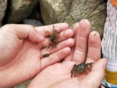 -南戴河旅游度假区