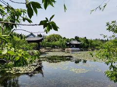 -无锡蠡湖国家湿地公园-蠡园