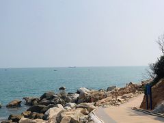 -广东惠东海龟国家级自然保护区