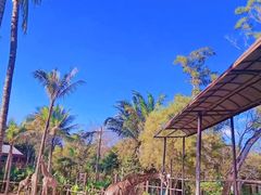 -海南热带野生动植物园