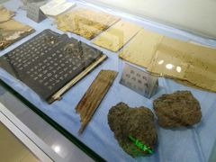 -上海昆虫博物馆