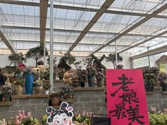 -沂蒙云瀑洞天景区